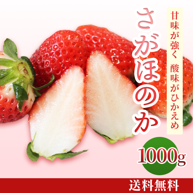いちご（さがほのか）1000g（250g×4パック） [F-012] | JA鹿児島